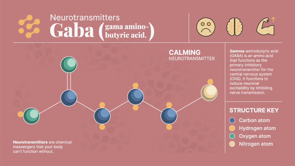 Guide to GABA neurotransmitter impacted by alcohol use