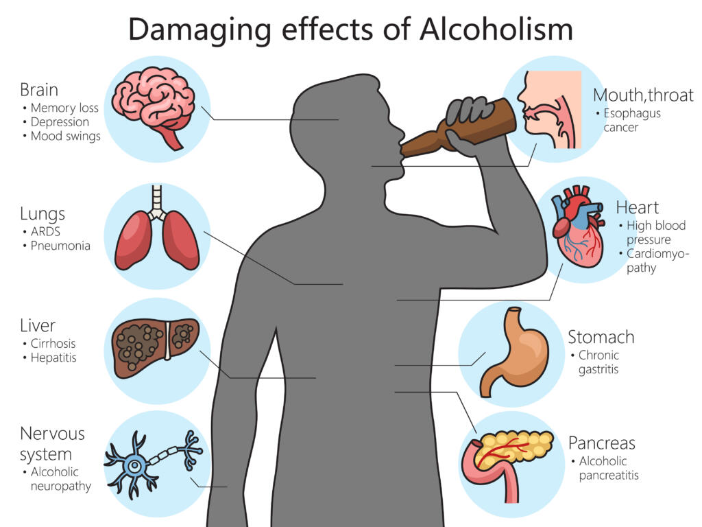 harmful effects of alcohol on the human body diagram 