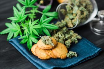 cannabis edible foods