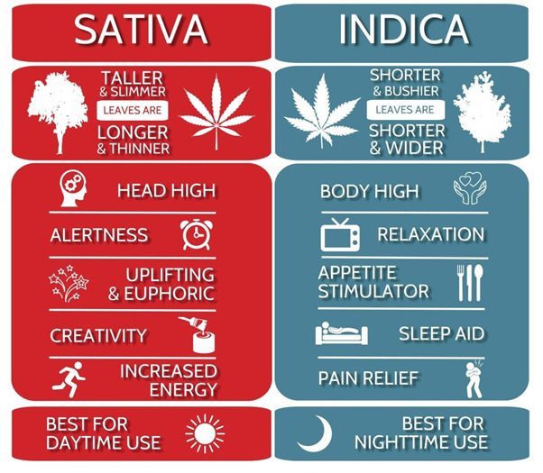 What are the signs that someone is high on marijuana? - Rehab Guide Clinics
