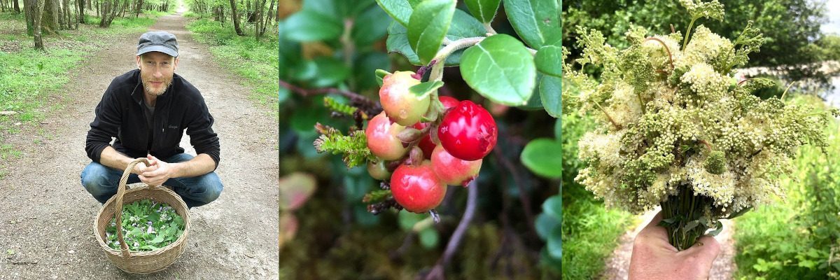 Man foraging with basket, berries, and wildflowers; alcohol free activities