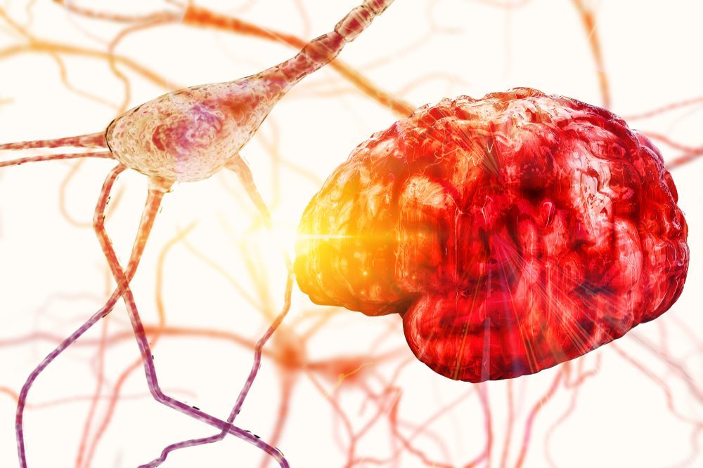 Illustration of neuron and brain, symbolizing alcohol recovery impact