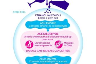 Diagram explaining how alcohol causes cancer via acetaldehyde buildup
