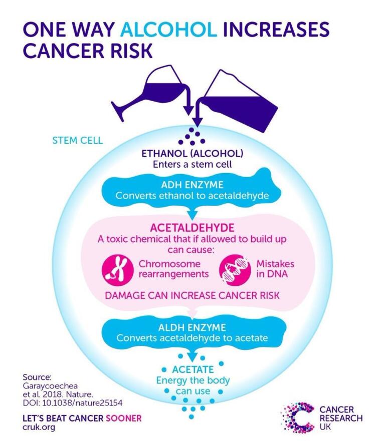 Diagram explaining how alcohol causes cancer via acetaldehyde buildup