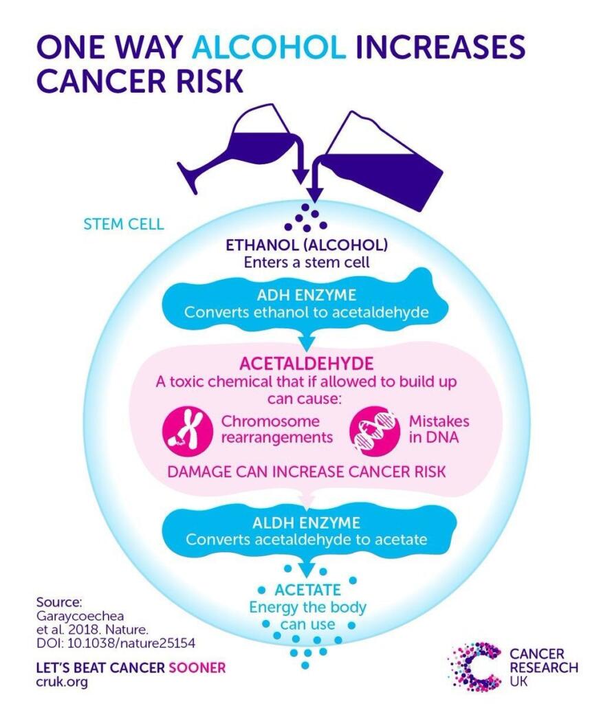 Protect Yourself: Cancers Caused By Alcohol and Prevention Tips