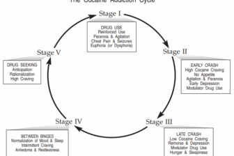 Diagram illustrating cocaine side effects and addiction cycle stages