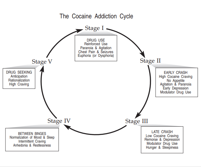 Diagram illustrating cocaine side effects and addiction cycle stages