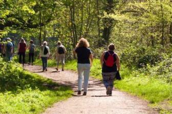 People walking in nature, promoting fitness and mental health recovery