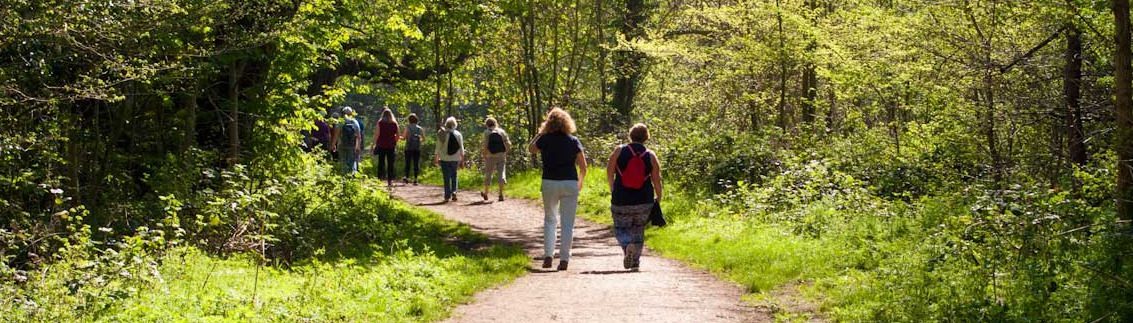 People walking in nature, promoting fitness and mental health recovery
