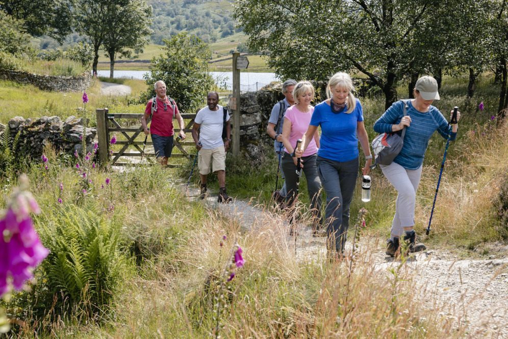 Group hiking in nature promoting wellness during alcohol recovery