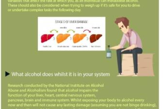 Infographic on how long alcohol stays in your system, impacts on driving