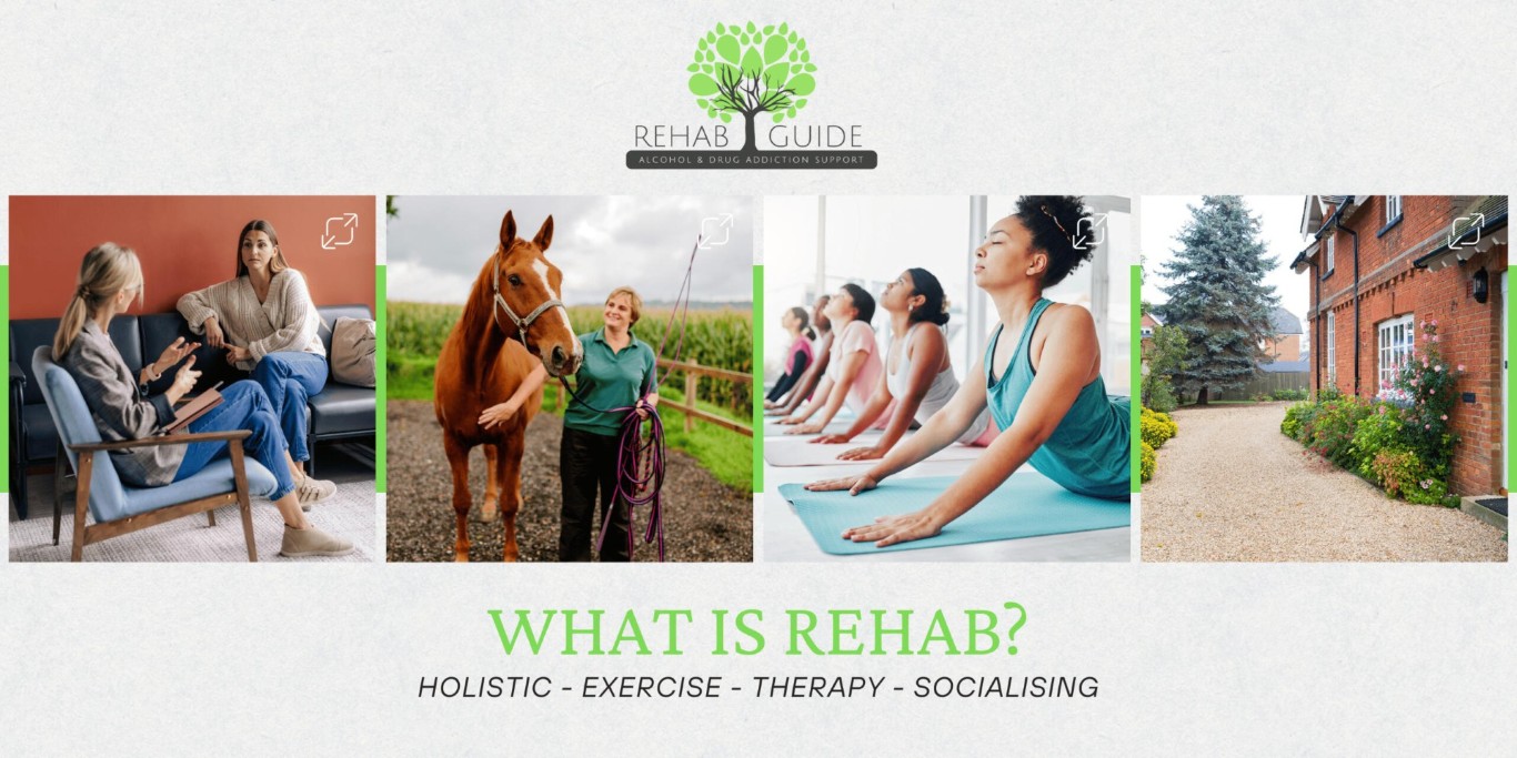Paul Danan holistic rehab: talking therapy, horse care, yoga
