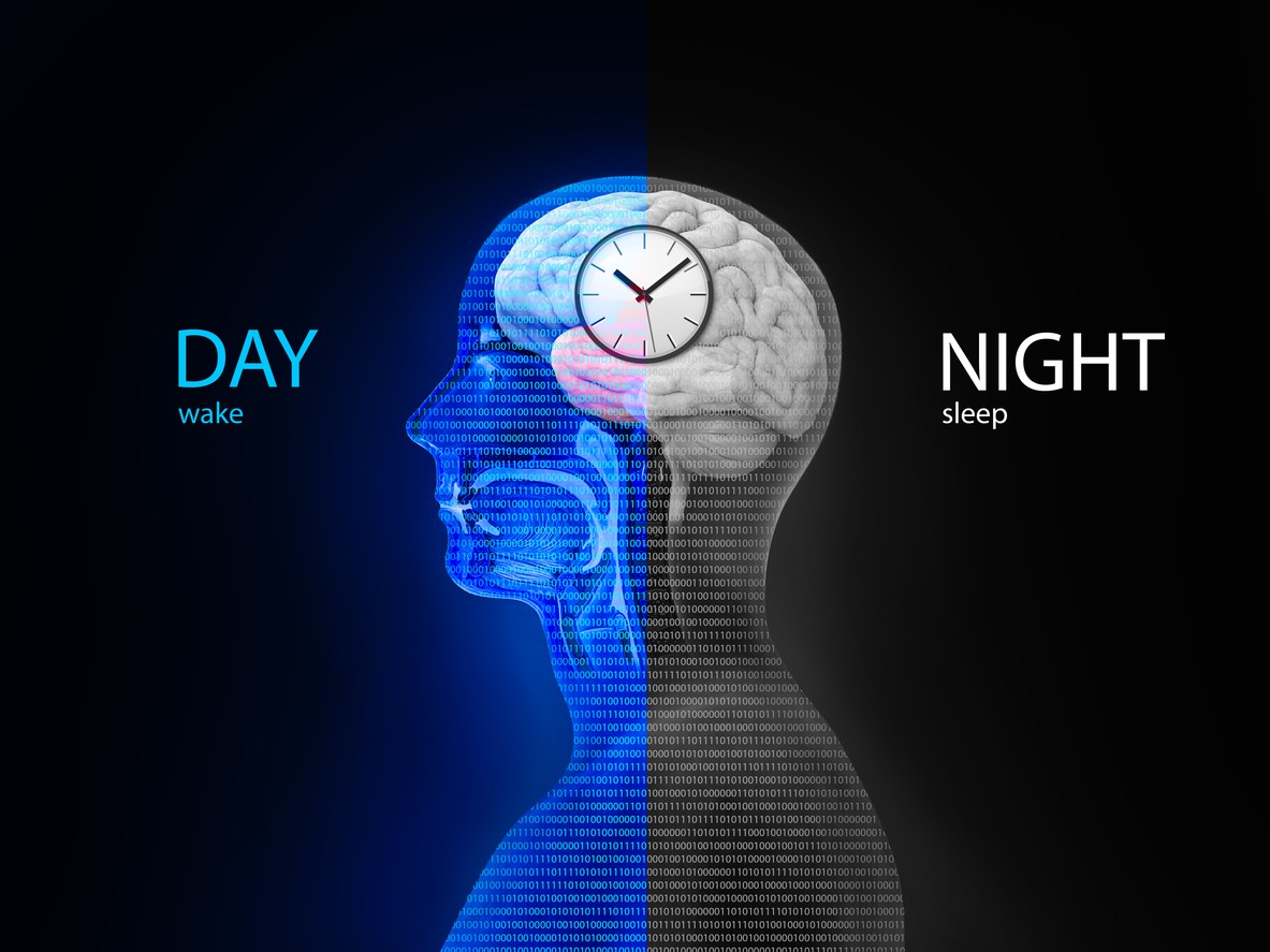 Illustration of a brain with a clock detailing sleep cycles, related to sleeping pill addiction.