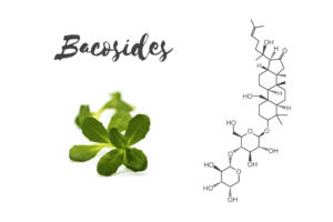 Bacosides plant and structure related to vitamins for alcohol withdrawal