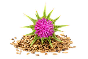 Milk thistle plant and seeds for vitamins in alcohol withdrawal