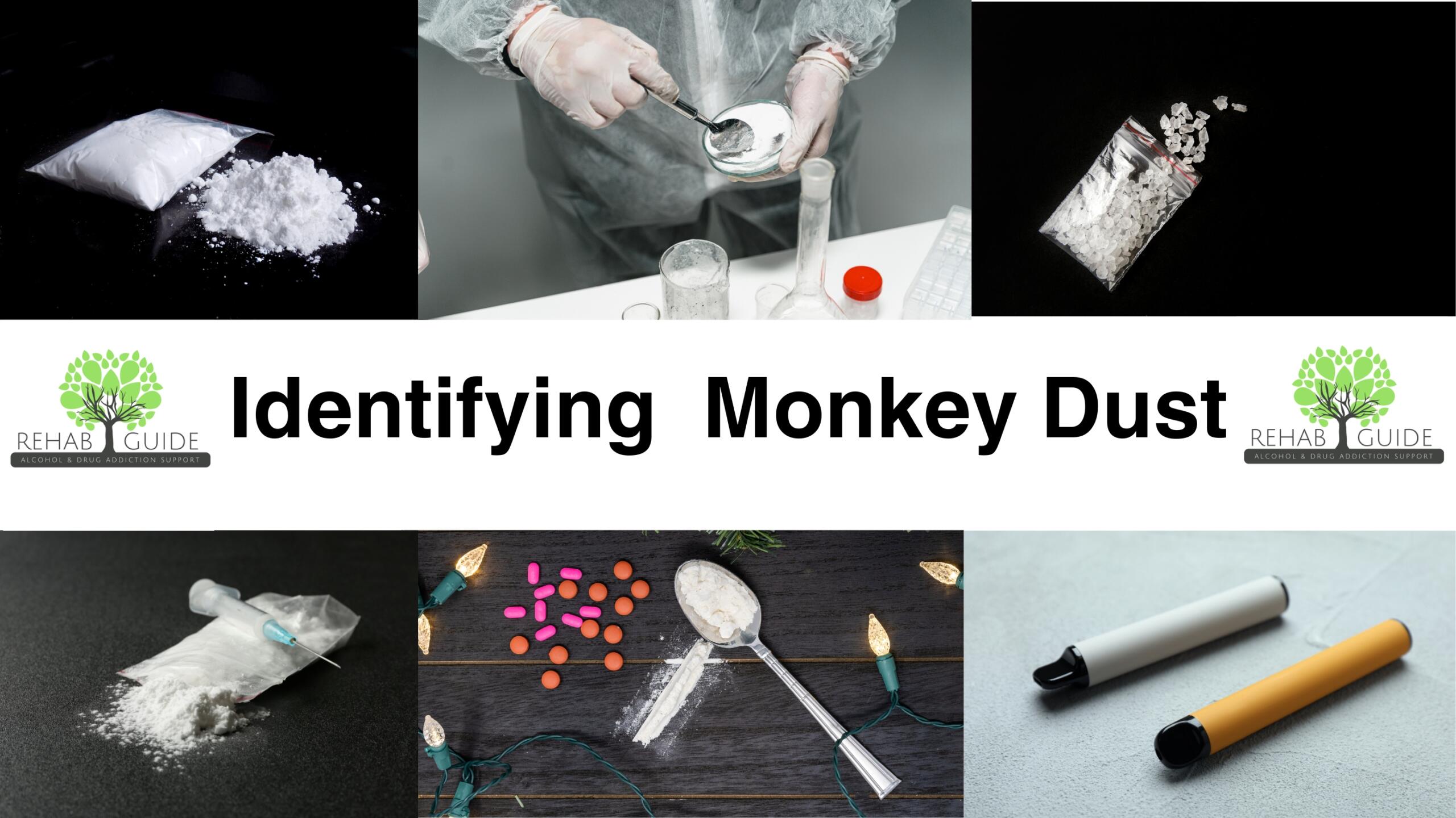 Image depicting monkey dust in various forms for awareness on recovery websites.