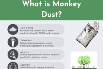Image explaining what Monkey Dust is, showing drug effects and risks.